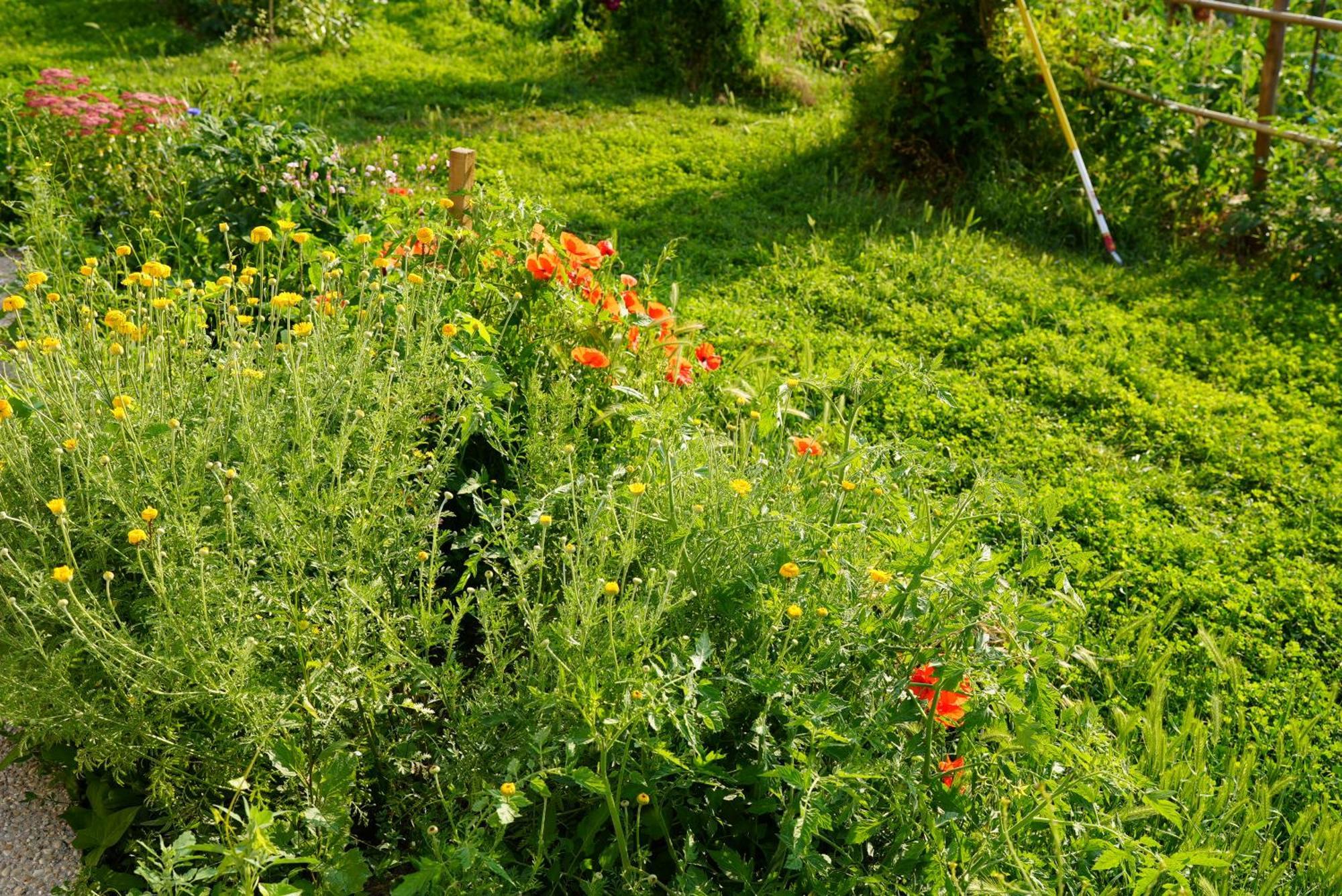 فيلا Les Jardins De Felicie Poses المظهر الخارجي الصورة