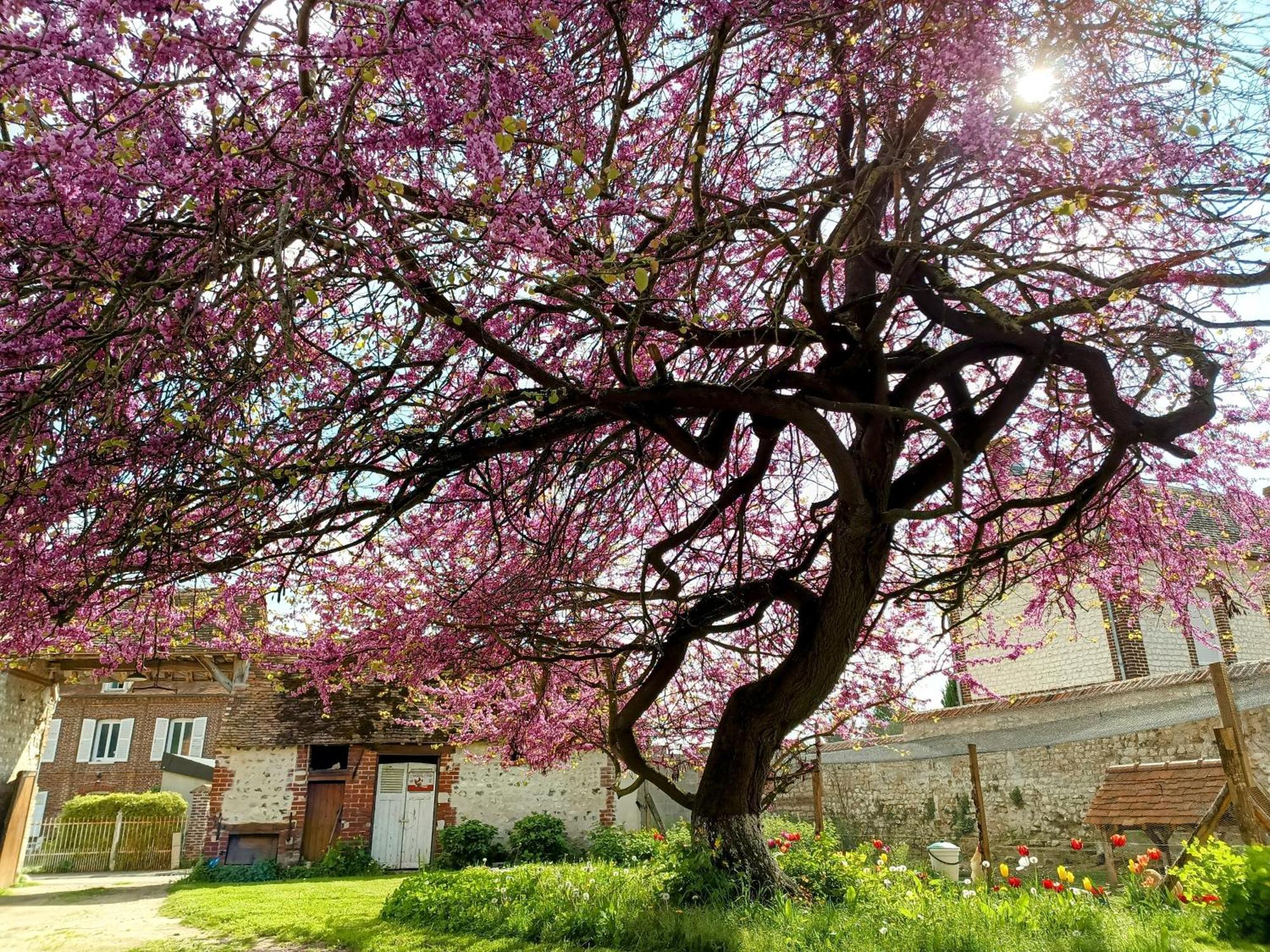 فيلا Les Jardins De Felicie Poses المظهر الخارجي الصورة