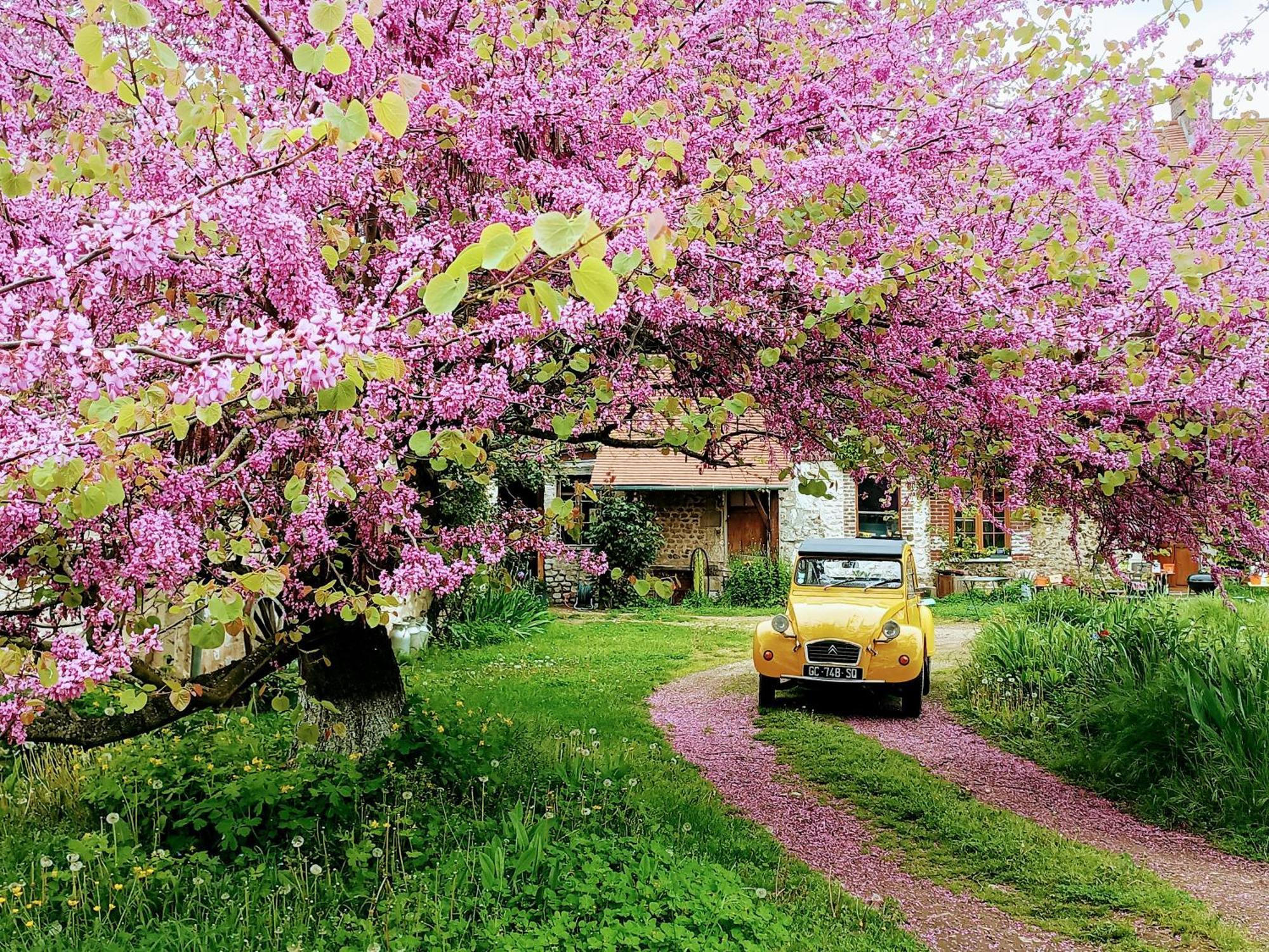 فيلا Les Jardins De Felicie Poses المظهر الخارجي الصورة
